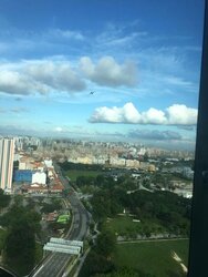 The Riverine By The Park (D12), Apartment #487484141